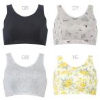 【正規品】【BRA164】M・Lサイズ ワコール Wacoal ナイトアップブラ