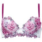 【BTJ421】D・E・Fカップ ワコール Wacoal サルート Salute 21グループ プッシュアップタイプ 3/4カップブラ