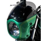 カワサキ Z650RS 22- ビキニカウル アルマックス