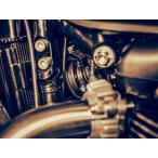 Wunderkind звуковой сигнал li локация перенесен комплект Triumph bo балка / черный 17-21