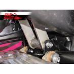 Free Spirits* низкая подвеска комплект (-20mm)* Trident 660(TRIDENT660) 21-