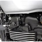  Triumph свеча зажигания покрытие черный NGK