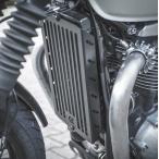  Triumph скорость twin 900/ Street twin скорость twin 900 радиатор защита "Ruipped" RAISCH"