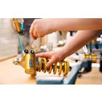  Ohlins (Ohlins) одиночный задние амортизаторы капитальный ремонт 