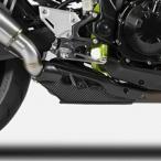 Z900 20- карбоновый нагрев защита ZARD