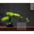  интерьер зеленый высококлассный иммитация . покупатель бонсай? украшение? горшок .. смысл . покупатель бонсай декортивный элемент человеческий труд декоративное растение 