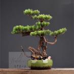  интерьер зеленый высококлассный иммитация . покупатель бонсай украшение? горшок .. смысл . покупатель бонсай декортивный элемент человеческий труд декоративное растение 