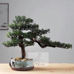  интерьер зеленый высококлассный иммитация . покупатель бонсай украшение горшок .. смысл . покупатель бонсай декортивный элемент человеческий труд декоративное растение 