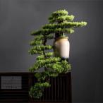  интерьер зеленый высококлассный иммитация . покупатель сосна бонсай украшение . смысл . покупатель сосна бонсай декортивный элемент человеческий труд декоративное растение 