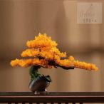  интерьер зеленый высококлассный иммитация . покупатель сосна бонсай украшение . смысл . покупатель сосна бонсай декортивный элемент человеческий труд декоративное растение 