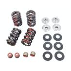 kibru белый клапанная пружина комплект.600~ подъёмник 05y-TC titanium держатель Kibblewhite