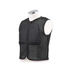 デイトナ ELIMINATOR ELIMINATOR/SE FRPアンダーカウル ELIMINATOR/SE（ブラック） メーカー在庫あり DAYT…