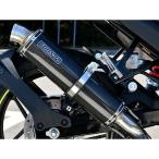 BMS ось sa-150 R-EVO карбоновый глушитель . префектура засвидетельствование BMS RACING FACTORY