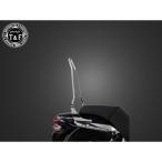  гараж T&amp;F Eliminator 250V Eliminator 250V оригинальный крыло специальный "пассажирская спинка" Short ( металлизированный ) T&amp;F