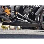  лет . магазин Factory ZX-10R нижний обтекатель ( белый гель ) Saitaniya Factory