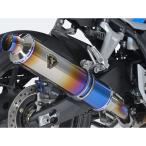 アールズギア CB1000F CB1000F/SE ワイバンチタンスリップオン（チタンドラッグブルー） R’s GEAR