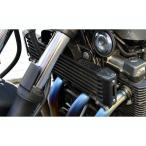 ブレスアールズ XJR1300 カーボン オイルクーラーカバー カラー クリア塗装品 BLESS R’S