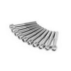 SP Takegawa R блок цилиндров покрытие Altec болт комплект ( серебряный / колпак ) SP TAKEGAWA