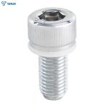 TANAX(タナックス) NP-001 NP-001 M10正キャップボルト クローム（10mm/正ネジ）