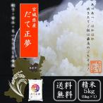 ショッピング米 5kg 送料無料 令和5年産　米 5kg  宮城県  だて正夢5ｋｇ ブランド米  お米 精米