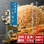 米 お米 玄米 令和4年産 宮城県産コシヒカリ玄米30ｋｇ送料無料　