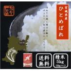 (次回入荷5/6 12_00)令和6年産 宮城県産 ひとめぼれ 5kg 精米 白米 米5kg