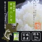 (次回入荷5/6 12_00)令和6年産 米5kg 宮城県産ササニシキ お米 白米