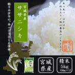 令和5年産 米5kg　 宮城県産ササニシキ  お米 白米