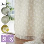 ���[�~�� �I�[�_�[�J�[�e����161cm�`180cm �o�u���h�b�g�̃~�C�y�X�������� ���c�z