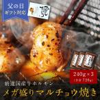 【通常5,340円→3,988円sale】厳選国産牛 ホルモン メガ盛り マルチョウ 焼き 240g×3 合計720g 焼肉セット ギフト プレゼント