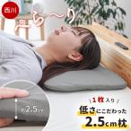 西川 低い枕 低め 1枚単品 50×30cm 高さ2.5cm 低反発ウレタン まくら 薄手 隙間クッション 腰枕 足枕 ぺらーり