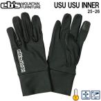 25-26e винт незначительный незначительный внутренний EBS USU USU INNER лыжи сноуборд перчатки 25-26-GR-EBS почтовая доставка рассылка 