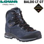 ローバー バルドLT GT LOWA  スティー�