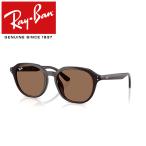 レイバン サングラス RayBan RB4459D 623173 54 フレーム / OPAL BROWN レンズ / POLICARBONATE STANDARD DARK BROWN 日本限定モデル