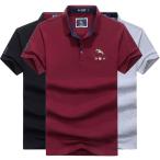 ポロシャツ メンズ 半袖 ゴルフウェア POLO シンプル 鹿の子 綿 夏物 春物 涼しい スポーツ イケおじ 襟付き 父の日 プレゼント