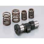  Daytona APE/XR motard высокий распределительный вал (47445)