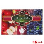 お得な5個セット フクエイ ベリーダ