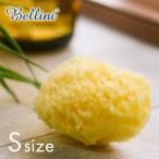 ベリーニ イタリア産 高品質 天然 海綿スポンジ ハニコム種 Ｓサイズ ふわふわ 希少 出産祝い ギフト ボディスポンジ 赤ちゃん