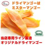 ショッピングドライフルーツ 送料無料　ドライマンゴー　無添加 （食品添加物無し）　 100g　ミスターマンゴーオリジナル