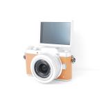 Panasonic Panasonic LUMIX GF7 Brown линзы комплект Schott число 7071 раз 