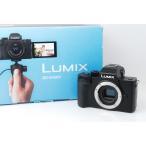 Panasonic Panasonic LUMIX DMC-G100 корпус Schott число 407 раз 123
