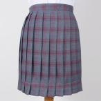  супер популярный школьная юбка высокое качество правильный .. форма женщина высота сырой посещение школы школьная форма средний . проверка юбка в складку регулировщик есть S?XL