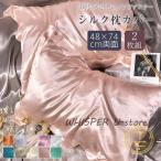 枕カバー シルク 両面 シルク枕カバー 2枚組 ギフトシルク 枕カバー 48×74cm ファスナー ピローケース シルク 枕 乾燥対策 ヘアケア 保湿