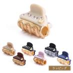 ALEXANDRE DE PARIS アレクサンドル ドゥ パリ VENDOME Micro クリップ ヘアクリップ バンスクリップ レディース ブランド 正規品 新品 ギフト プレゼント