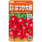 サカタのタネ 実咲野菜5300 まんまるはつか大根 レッドチャイム 00925300