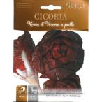 [ Италия. овощи. вид ]Hortus фирма leaf chi колли * Bellona palaCOD.BSOCIC040