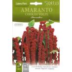【イタリアの草花の種】Hortus社 アマランサス（ヒモゲイトウ）AMA001