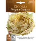[ Италия. овощи. вид ]Hortus фирма leaf chi колли ~ rental teru franc ko вид ~{ фиксация вид }[BSOCIC 012]