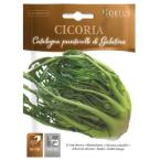 [ Италия. овощи. вид ]Hortus фирма pntarela( спаржа chi колли ) BSOCIC102 фиксация вид 