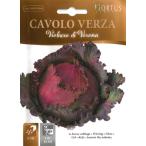 ショッピングサボイ 【イタリアの野菜の種】Hortus社　サボイキャベツ　ベローナ種(紫）ヴェローナキャベツパープル（晩生種）bsocvv008《固定種》イタリアの人気キャベツ！